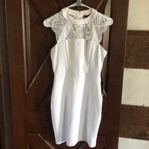 NWT Express Dress size 2